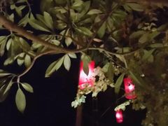 -乌托邦酒吧和餐厅