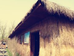 景点-溱湖国家湿地公园