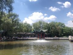 -MAP CHA普洱茶馆(翠湖店)