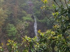 iphone_upload_pic-众神白水涧景区