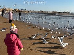 -老虎石海上公园