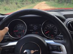 -丽姐租车