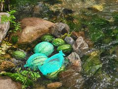 -玉渡山自然风景区