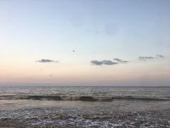 -南汇新城海滩