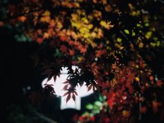 -星巴克(北京王府井店)