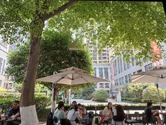 -野鸽子咖啡(中航店)