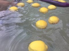 -天目湖涵田半山温泉