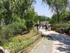 -北京西山国家森林公园