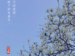 -小河无名面馆