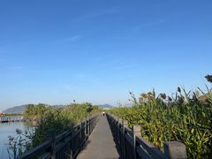 -芒洲湿地公园