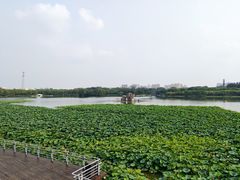 -大兴滨河森林公园