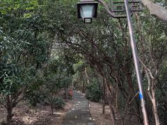 -杭州半山国家森林公园