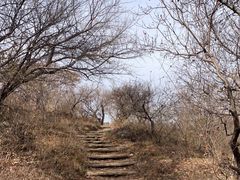 -香山公园