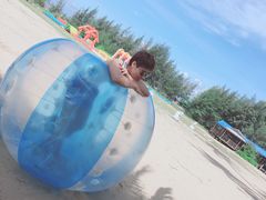 -东郊椰林
