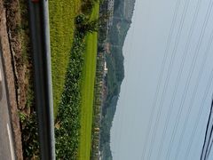 -李东农庄(中南百草园地标店)