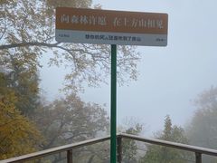 -北京上方山国家森林公园