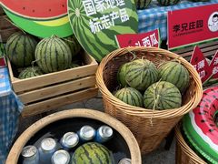 -鹏欣水游城