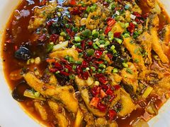 -龙翔山庄雷鸡肉(青城后山泰安古镇店)