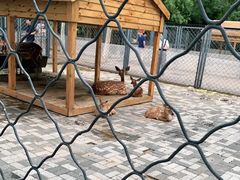 -长白岛森林公园