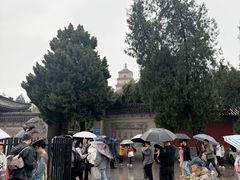 -大慈恩寺(大雁塔)