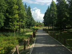 -贵阳市花溪国家城市湿地公园