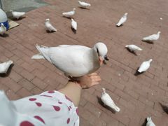 -王府井奥莱临潼小镇(临潼店)