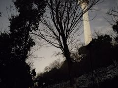 -龟山风景区-龟山电视塔