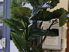 -山与蓝·轻糖鲜果蛋糕(勒泰店)