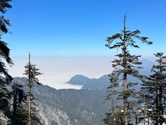 -瓦屋山景区