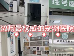 -派美特宠物医院·核磁CT·骨科肿瘤·疑难转诊(沈农禾丰店)