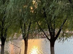 -天鹅湖体育公园