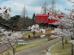 -神户市立六甲山牧场