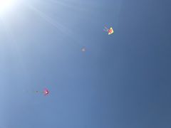 -汉长安城未央宫国家考古遗址公园