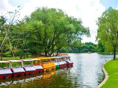 -上海共青森林公园