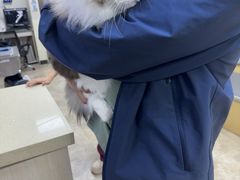 -美联众合动物医院·24h转诊中心
