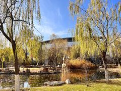 -北京国家会计学院