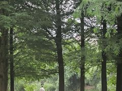 -贵阳市花溪国家城市湿地公园