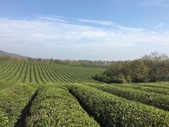 -敬亭山风景名胜区