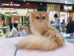 -万达广场(北京槐房店)