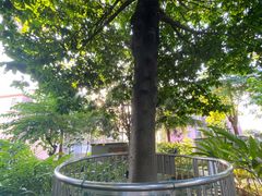 -广州神农草堂中医药博物馆