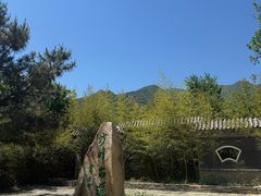 -阳台山自然风景区