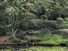 -杭州黄龙洞
