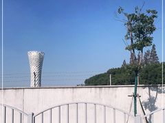 -上海滨江森林公园
