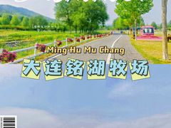 -大连铭湖国际观光牧场
