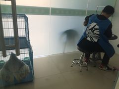 -圣宠动物医院·犬猫专科·影像中心·外科中心