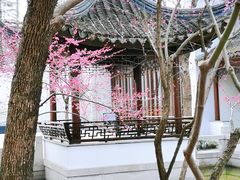 -秋霞圃
