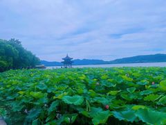-西湖文化广场