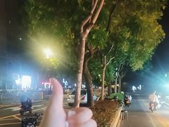 -九里香奶茶果汁(碧湖店)