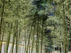 -穹六人间 people 6(岳阳路店)
