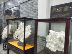 -游龙石文化科普馆